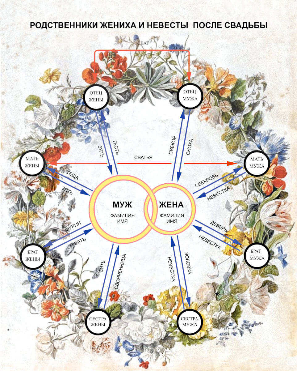 Родственники после свадьбы схема